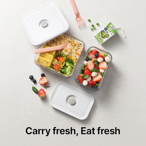Premium Airtight Food Storage Containers (MINI RECTANGULAR 0.5LX2PCS)
