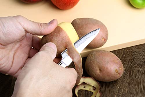 VG10 16 Layer Hammered Damascus Stainless Steel Paring Utility Knife (3.2" / Mahogany Handle)
