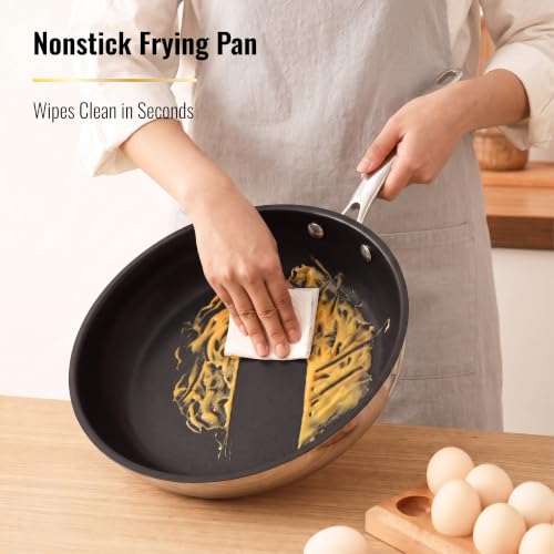 11 Piece Stainless Steel Pots and Pans Set Non Stick (Nonstick 11 PC)