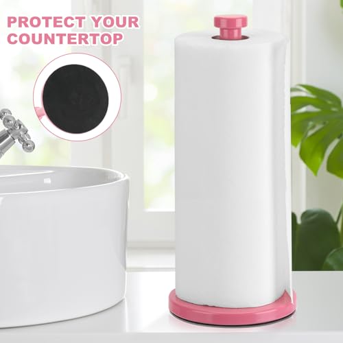 Stainless Steel Paper Towel Holder