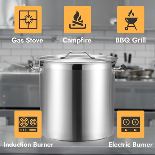 20 Quart Large Stock Pot with Lid (20 Quarts)