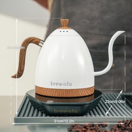 Artisan Electric Gooseneck Kettle (Pearl White)