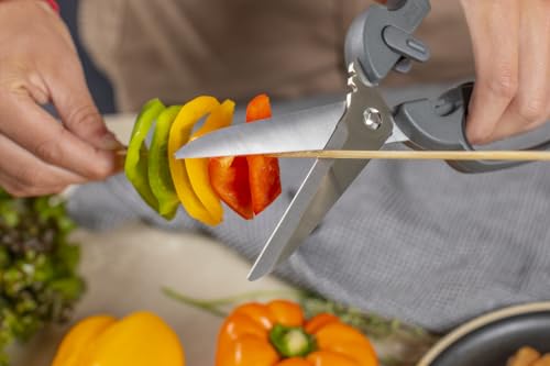 Pro Kitchen Shears Plus (Pro Kitchen Shears Plus)