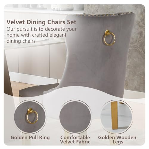 Grey Velvet Dining Chairs Set of 4 (Standard Gray)