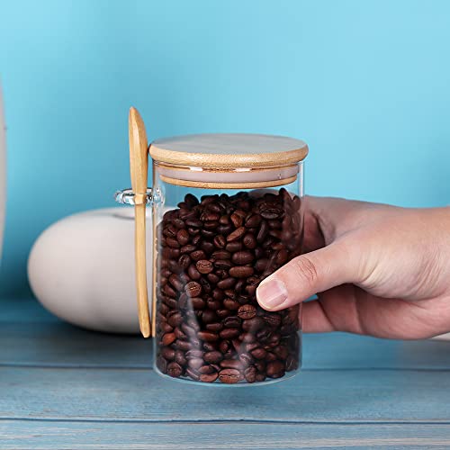 Glass Jars with Bamboo Lids and Spoon Set of 6 (Round/17oz*6/Bamboo Lid)
