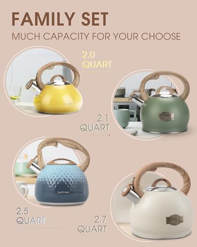 2.1 Qt Whistling Tea Kettle for Stovetop with Heat (Peachy)