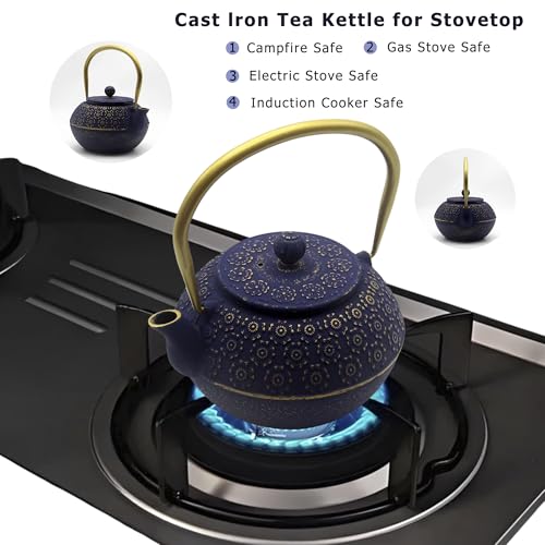 33.8oz Small Cast Iron Tea Kettle for Stovetop (Blue Cherry Blossom Pattern, 1000ml/34oz)