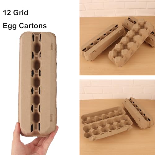 25 Pack Egg Cartons Bulk (Dozen)