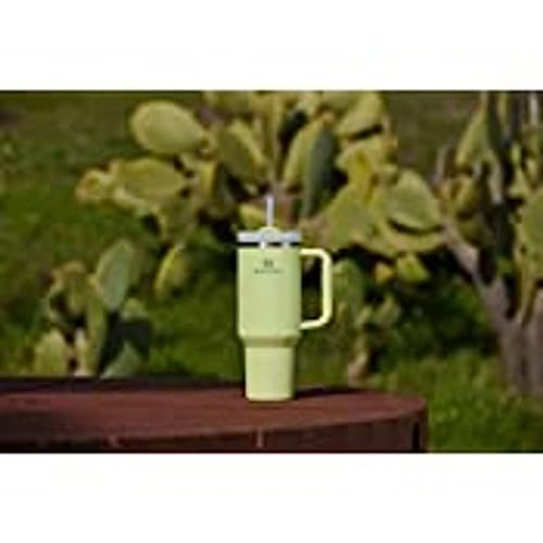 Quencher H2.0 Flow State Tumbler (40 Ounces / Citron)
