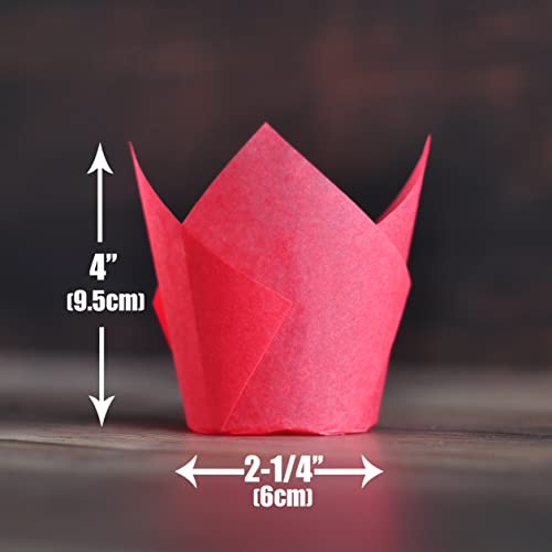 Red colour Large size Tulip Baking Cups 2 (Red)