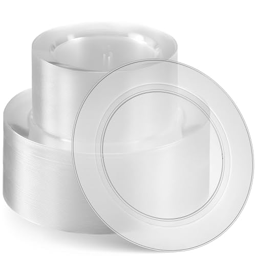 100 Elegant Clear Plastic Plates Set (Clear)