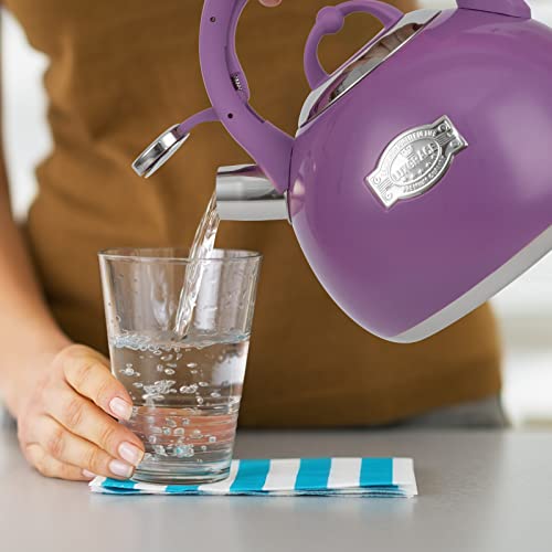 Tea Kettle for Stovetop (Purple)