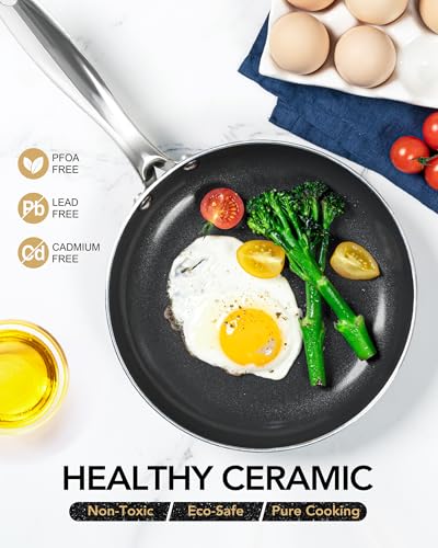 10 Inch Nonstick Frying Pan with Lid (Black / 10 inch)