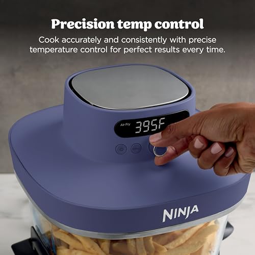 Crispi Pro Glass Air Fryer (Deep Amethyst)