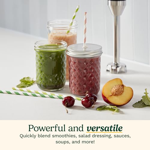 CSB 179 Smart Stick Variable Speed Hand Blender (Stainless Steel / Variable Speed)