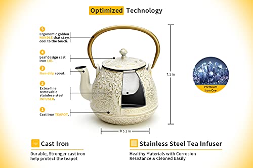 Cast Iron Tea Kettle (1 Quarts / Warm Beige)