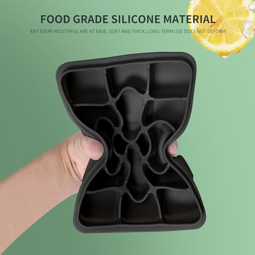 Ice Cube Trays Set of 2 (Black)