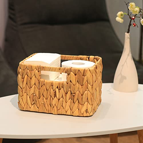 Water Hyacinth Storage Baskets (17 x 12.2 x 7.5 inches / Natural (Water Hyacinth))