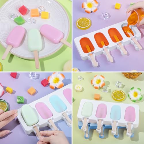Popsicle Molds Set of 2 (Clear)