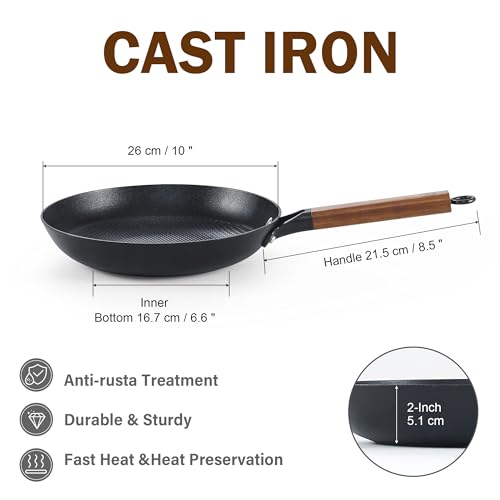 Cast Iron 10 Inch Nonstick Skillets
