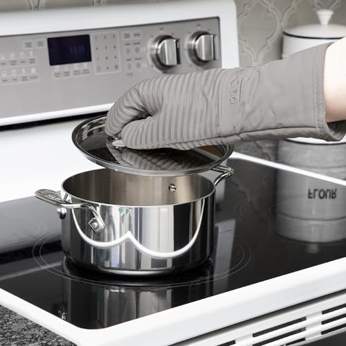 Silicone Oven Mitts (Titanium / 2 Pack)