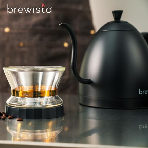 Artisan Electric Gooseneck Kettle (All Black)