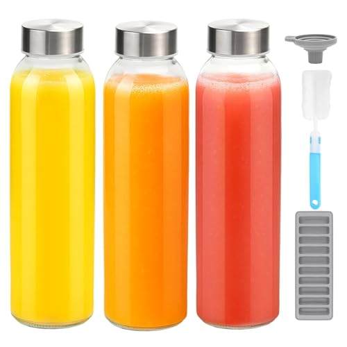 18 oz Glass Water Bottles with Stainless Steel Lids