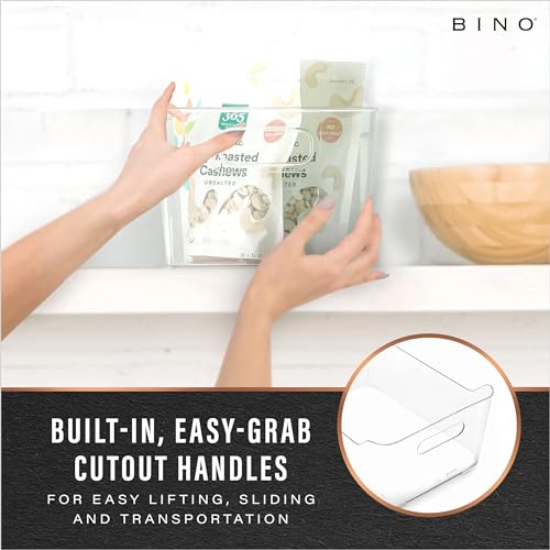 Plastic Organizer Bins (Clear / Small)