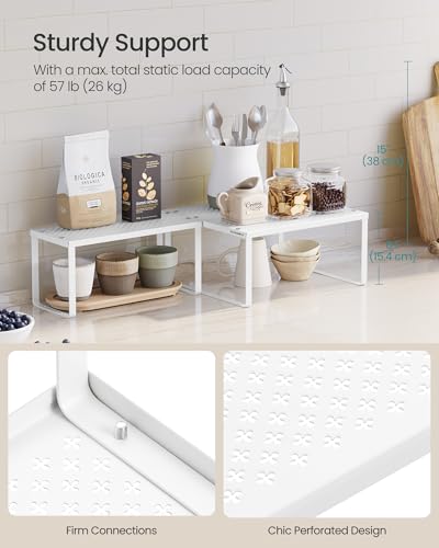 Set of 2 Metal Spice Racks (White / 2 Tiers (11"D x 12.6"W))
