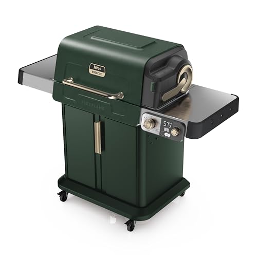FlexFlame Grill & Smoker (Green)