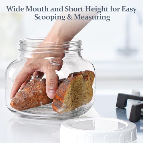 0.6Gal Airtight Glass Jar with Lid (0.6 Gallon)