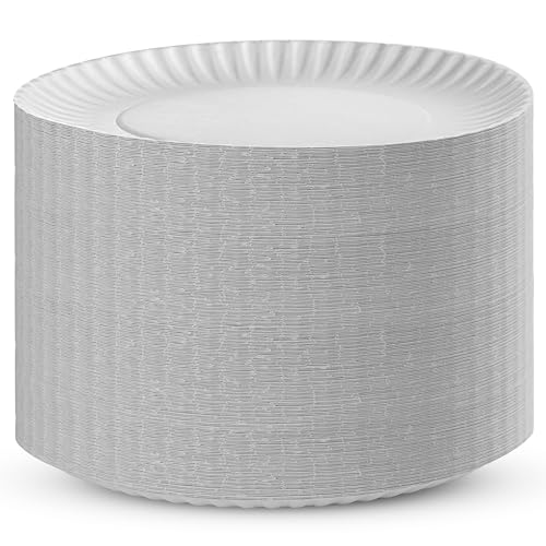 500 Uncoated Paper Plates 9 Inch (9 Inch)