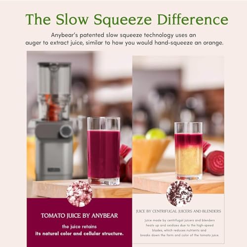 Cold Press Juicer 200W Masticating Slow Juicer 4.3" Large Feed Chute Fit Whole Fruits Vegetables (Silver)