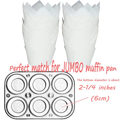 Large size White Tulip Baking Cups 2 (White)
