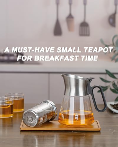 23oz Small Glass Teapot with Infuser For Loose Leaf Tea Steeper (23 oz (No Cups))