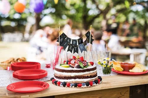 Sturdy Red Plastic Plates 9" Party Plates 100 Pcs (9 inch / Red)