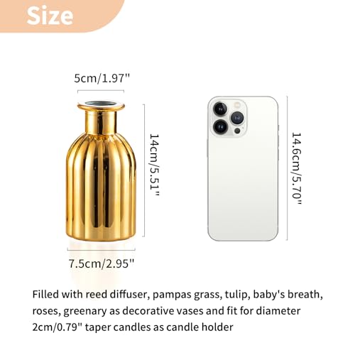 Gold Glass Bud Vases (Style 2)