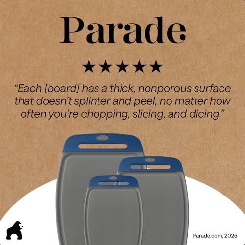 BPA Free Reversible Kitchen Cutting Board (Gray/Blue / Large (Pack of 3))