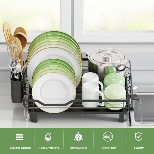 Dish Drying Rack (Black)