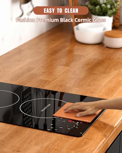Electric Stove Induction Cooktop Vertical with 2 Burners Vitro Ceramic Smooth Surface Glass in Black 120V