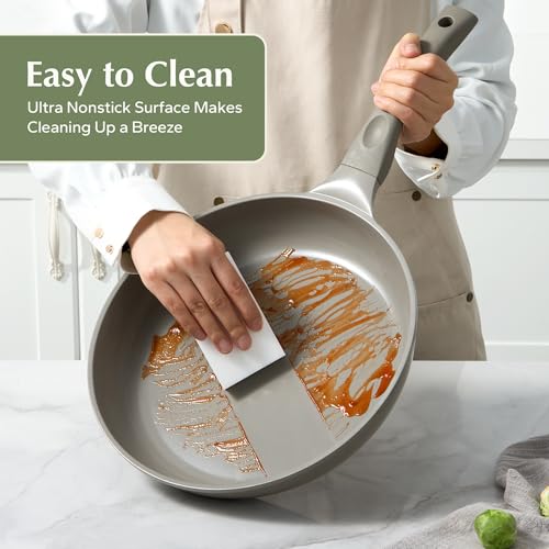 Nonstick Frying Pan Skillet (Gray / 9.5inch Frying Pan)