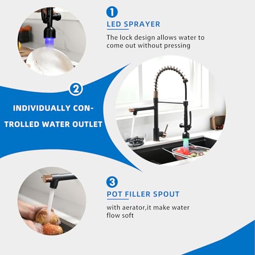 Single Handle Pull Down Sprayer Black&Rose Gold Kitchen Faucet (Black&Rose Gold)