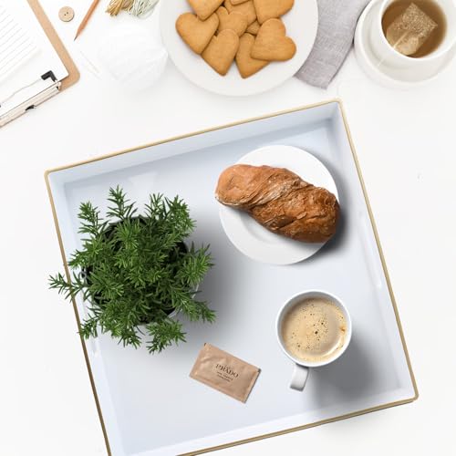 Decorative Tray (Sl005r)
