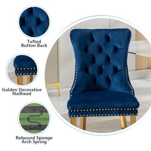 Blue Velvet Dining Chairs Set of 4 (Natural Blue)