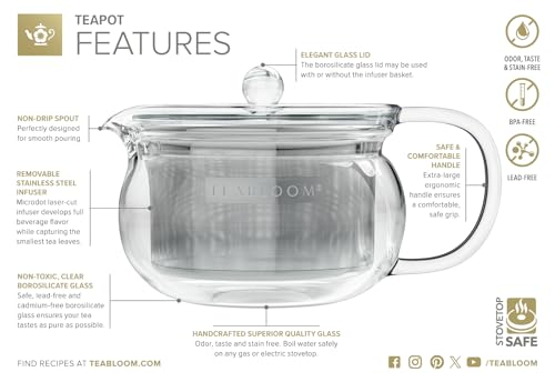 Kyoto 2-in-1 Tea Kettle and Tea Maker – Glass Teapot with Removable Loose Tea Filter – Tea Connoisseur's Choice (12 FL OZ (1 CUP))