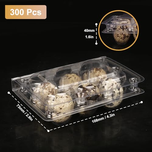 300 Pack Quail Egg Cartons (300 Pack Quail Egg Cartons 6 Grids)
