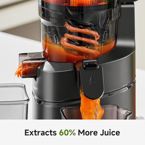 Cold Press Juicer (Black / 5.8")