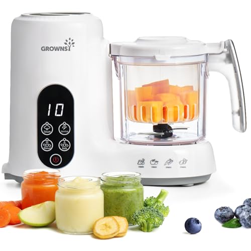 Baby Food Maker
