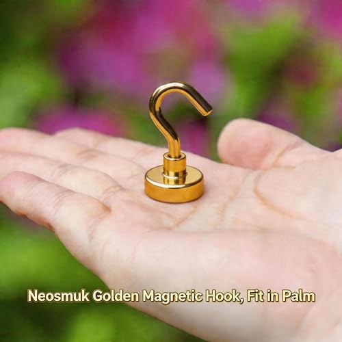 Magnetic Hooks (10 Count)