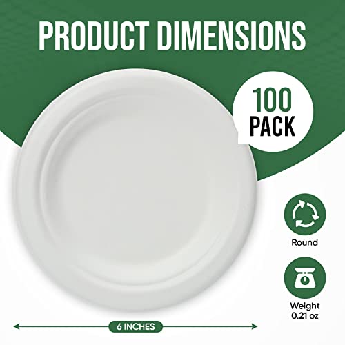 6 inch Paper Plate 100 Pack Small Disposable (White / 6 IN)